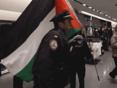 Penangkapan tersebut dilakukan ketika pengunjuk rasa pro-Palestina menyerbu toko ZARA pada Black Friday